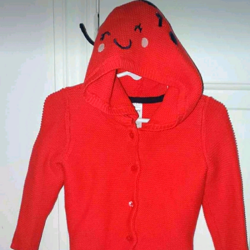 Carter's sweater